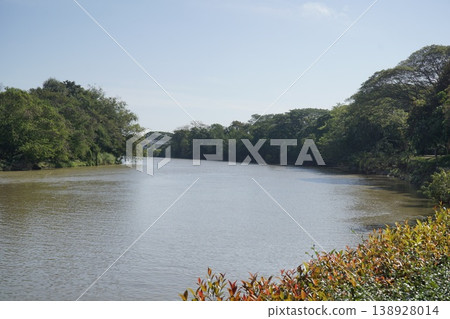River with trees on both sides River with trees on both sides 138928014