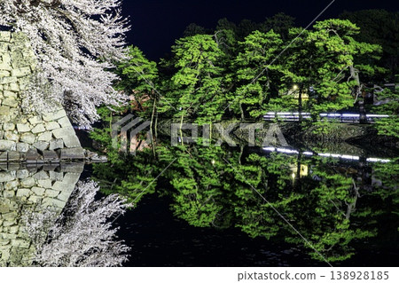 Night view of cherry blossoms in full bloom along the inner moat of Hikone Castle in Hikone City. Night view of cherry blossoms in full bloom along the inner moat of Hikone Castle in Hikone City. 138928185