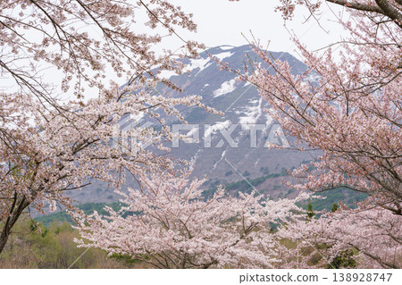 福島縣豬苗代町磐梯山牧場的春日景色,磐梯山和櫻花點綴著這片土地。 福島縣豬苗代町磐梯山牧場的春日景色,磐梯山和櫻花點綴著這片土地。 138928747