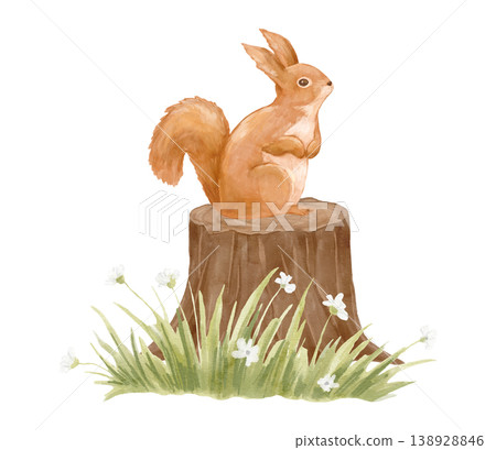 Watercolour forest squirrel on stump. Clipart woodland animal for cards and nursery posters. Hand drawn isolated illustration 138928846