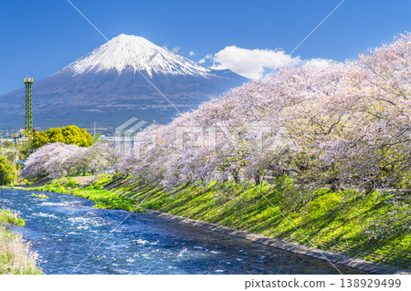從靜岡縣富士市宇留川眺望靜岡縣熱門旅遊景點龍岩淵，櫻花盛開，富士山巍峨聳立，景色令人嘆為觀止。 [靜岡縣富士市] 138929499