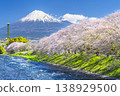 Natural scenery of Ryuganbuchi in spring: Cherry blossoms, Mt. Fuji, and the Urui River [Fuji City, Shizuoka Prefecture] 138929500