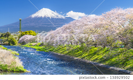 從靜岡縣富士市宇留川眺望靜岡縣熱門旅遊景點龍岩淵，櫻花盛開，富士山巍峨聳立，景色令人嘆為觀止。 [靜岡縣富士市] 138929502