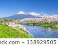 The breathtaking view of Ryuganbuchi, a popular tourist spot in Shizuoka, with cherry blossom trees and Mount Fuji seen from the Urui River [Fuji City, Shizuoka Prefecture] 138929505