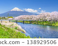 Natural scenery of Ryuganbuchi in spring: Cherry blossoms, Mt. Fuji, and the Urui River [Fuji City, Shizuoka Prefecture] 138929506
