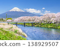 A breathtaking spring view of Ryuganbuchi in Shizuoka: cherry blossoms, Mount Fuji, and the Urui River [Fuji City, Shizuoka Prefecture] 138929507