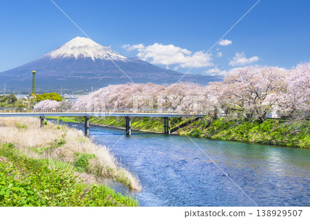 A breathtaking spring view of Ryuganbuchi in Shizuoka: cherry blossoms, Mount Fuji, and the Urui River [Fuji City, Shizuoka Prefecture] 138929507