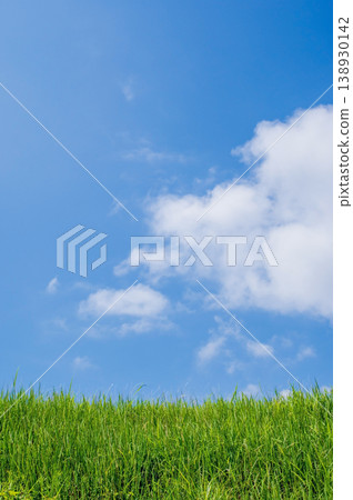 清新的夏日天空和草地 138930142
