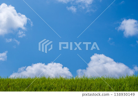 清新的夏日天空和草地 清新的夏日天空和草地 138930149