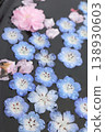 Flowers floating on water 138930603