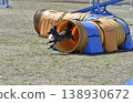 Toy poodle jumps out of tunnel - Agility 138930672