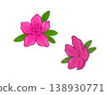 Large purple azalea, pink, hand-drawn, cute, free material 138930771