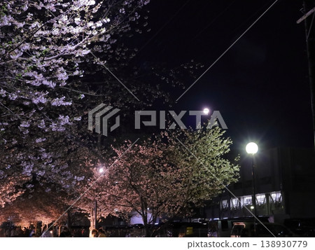 夜晚的櫻花，宛如置身於櫻花隧道之中 138930779
