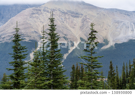 Coniferous forests and rocky peaks encountered on the way to Peyto Lake 138930800