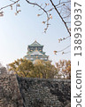 Osaka Castle Park: Castle tower and cherry blossom branches (buds), vertical composition. 138930937