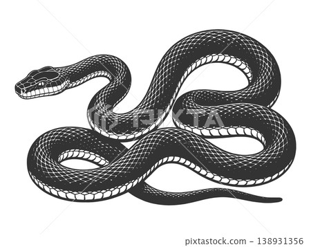 Coiled Snake Illustration Detailed Scales Design 138931356