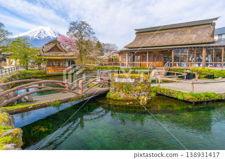 Oshino, cherry blossoms, Mt. Fuji 138931417