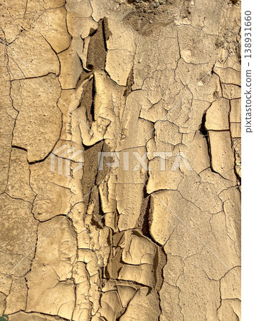 Cracked dry soil. Natural sunlight highlights the texture. Concept of drought, survival Cracked dry soil. Natural sunlight highlights the texture. Concept of drought, survival 138931660