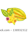 Watercolor starfruit. Averrhoa carambola or Bilimbi. Whole yellow fruit, slices with blooming tree branch, green leaf foliage. Botanical exotic star apple. Hand drawn illustration isolated background 138932312