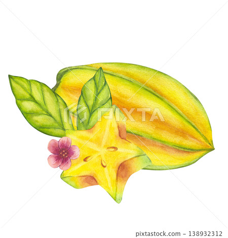 Watercolor starfruit. Averrhoa carambola or Bilimbi. Whole yellow fruit, slices with blooming tree branch, green leaf foliage. Botanical exotic star apple. Hand drawn illustration isolated background 138932312