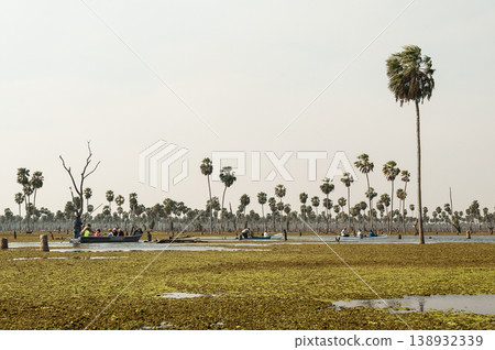 Tourists observing nature n La Estrella Marsh, Tourists observing nature n La Estrella Marsh, 138932339