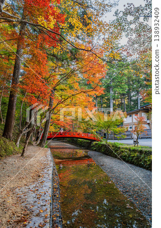 靜岡縣遠富國一宮市小國神社的秋葉 靜岡縣遠富國一宮市小國神社的秋葉 138932409