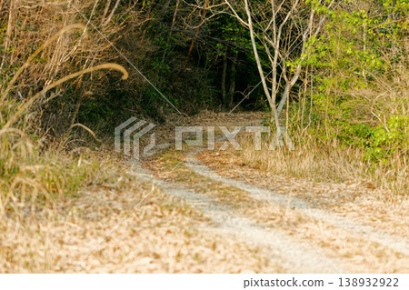 山路上還留有輪胎印跡。 山路上還留有輪胎印跡。 138932922