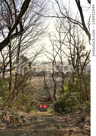從山頂眺望聖根社的石階與鳥居(新潟縣新潟市西館區岩室溫泉) 從山頂眺望聖根社的石階與鳥居(新潟縣新潟市西館區岩室溫泉) 138932944