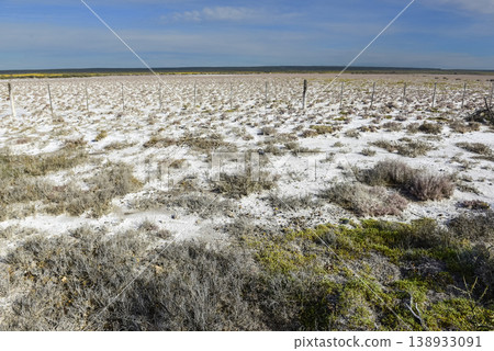 Salty soil in a dry lagoon, in the south of the province of La Pampa, Patagonia, Argentina. Salty soil in a dry lagoon, in the south of the province of La Pampa, Patagonia, Argentina. 138933091