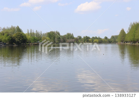 The vast pond and lush green tree-lined streets of Mizumoto Park in Katsushika Ward, Tokyo. The vast pond and lush green tree-lined streets of Mizumoto Park in Katsushika Ward, Tokyo. 138933127