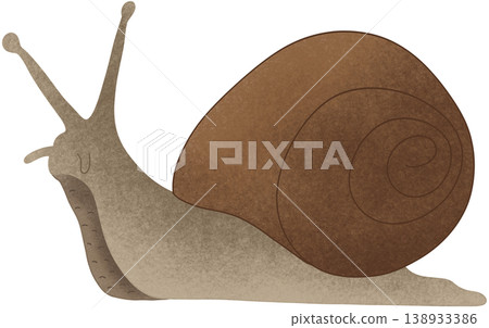 snail, animal, slow life 138933386