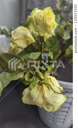 Dried yellow roses in the trash can, discarded dried flowers. Wilting, dead wood Dried yellow roses in the trash can, discarded dried flowers. Wilting, dead wood 138933505