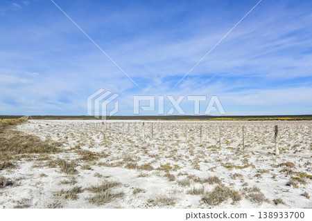 Salty soil in a dry lagoon, in the south of the province of La Pampa, Patagonia, Argentina. Salty soil in a dry lagoon, in the south of the province of La Pampa, Patagonia, Argentina. 138933700
