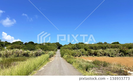 Tsuken Island, red soil farm road and blue sky, Uruma City, Okinawa Prefecture Tsuken Island, red soil farm road and blue sky, Uruma City, Okinawa Prefecture 138933773