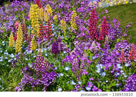 春天百花盛開的里山花園 春天百花盛開的里山花園 138933810