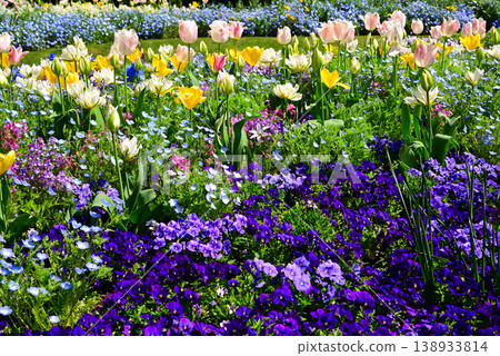 Satoyama Garden filled with spring flowers Satoyama Garden filled with spring flowers 138933814