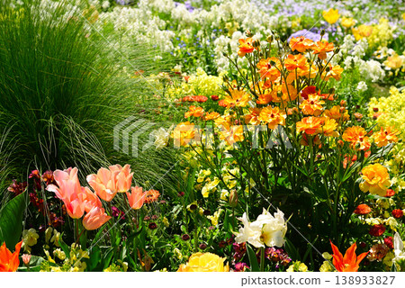 春天百花盛開的里山花園 138933827