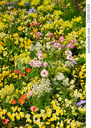 春天百花盛開的里山花園 春天百花盛開的里山花園 138933829