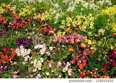 Satoyama Garden filled with spring flowers Satoyama Garden filled with spring flowers 138933830