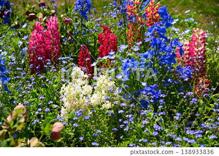 春天百花盛開的里山花園 138933836