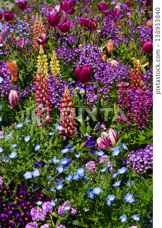 Satoyama Garden filled with spring flowers Satoyama Garden filled with spring flowers 138933840