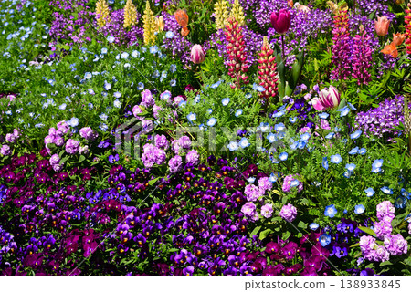 春天百花盛開的里山花園 138933845