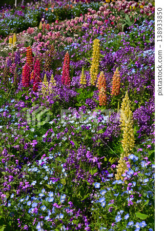 春天百花盛開的里山花園 138933850
