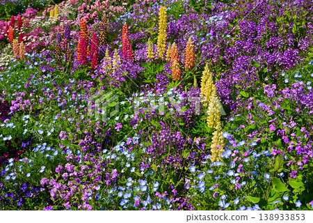 春天百花盛開的里山花園 138933853