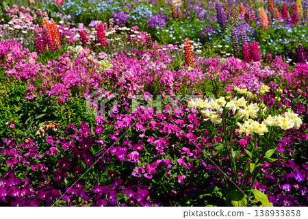 春天百花盛開的里山花園 春天百花盛開的里山花園 138933858