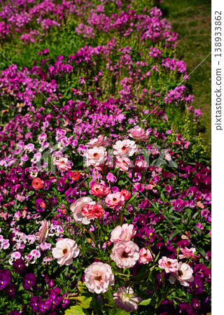春天百花盛開的里山花園 春天百花盛開的里山花園 138933862