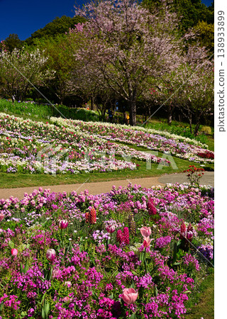 春天百花盛開的里山花園 春天百花盛開的里山花園 138933899