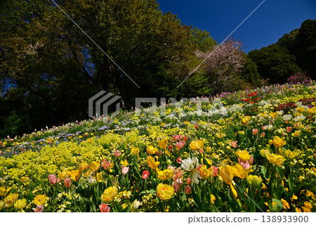 春天百花盛開的里山花園 春天百花盛開的里山花園 138933900