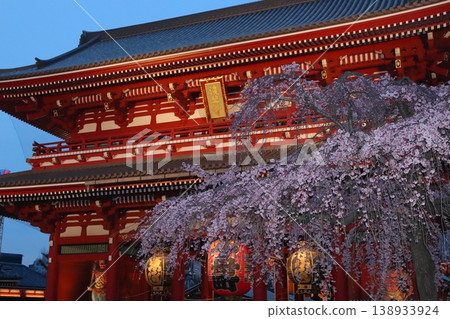 Cherry blossoms in full bloom and Sensoji Temple Hozomon - Tokyo tourist destination 138933924
