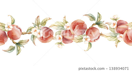 Pink Peaches with Flowers Seamless Border Summer Juicy Ripe Fruits. Watercolor hand drawn floral food illustration isolated on white background for home kitchen textile fresh print cosmetic package Pink Peaches with Flowers Seamless Border Summer Juicy Ripe Fruits. Watercolor hand drawn floral food illustration isolated on white background for home kitchen textile fresh print cosmetic package 138934071